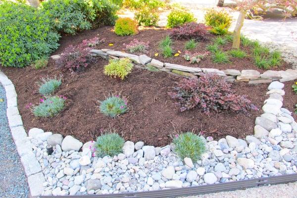 Drought Resistant Landscaping