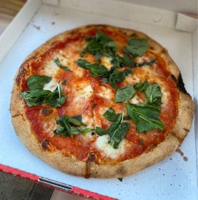 Margherita Pizza ($14)