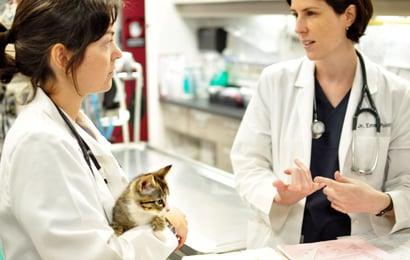 ASPCA Animal Hospital