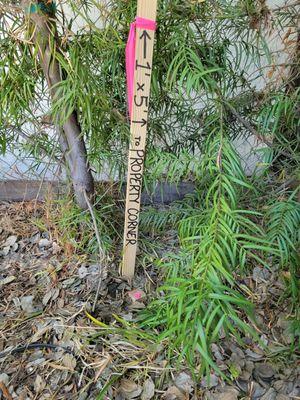 To work around my tree right at the corner of my property, here is the offset marker with the stake right below it.