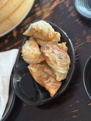 Pan Fried Vegetable Dumplings