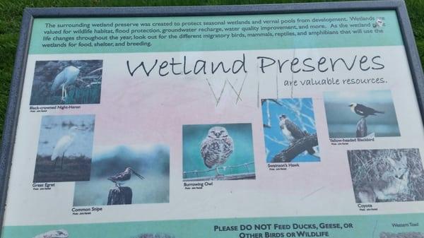 Wetland educational material!