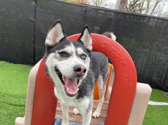 Look at that smile! She LOVES her time at HOP!