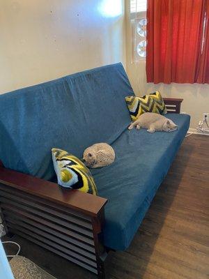 Wallhugger, Plantation Futon Frame, cooling memory foam futon and nice dark turquoise futon cover - cats not included