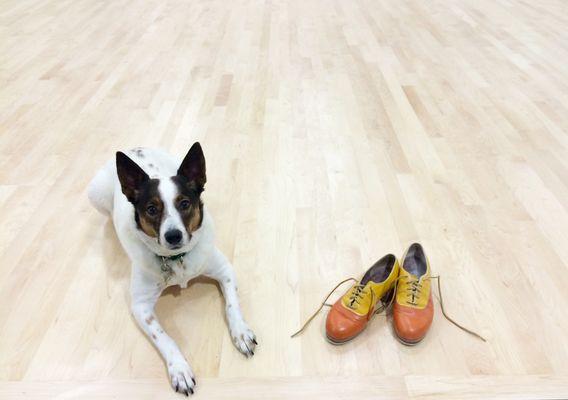 Sammi, studio shoe guard, waiting for class to begin...