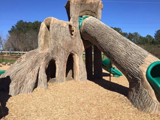 Great "tree" for kids to play on and inside.