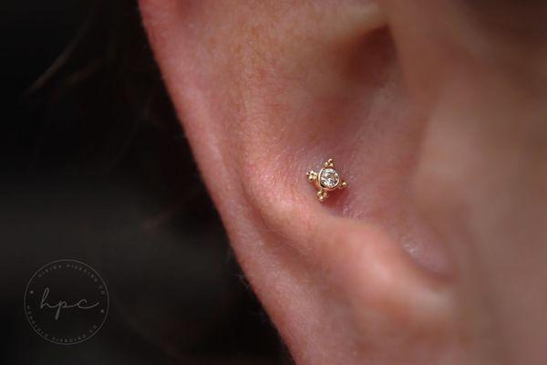 Featuring a 14k solid yellow gold mini Kandy from BVLA. Conch piercing performed by Danica :)