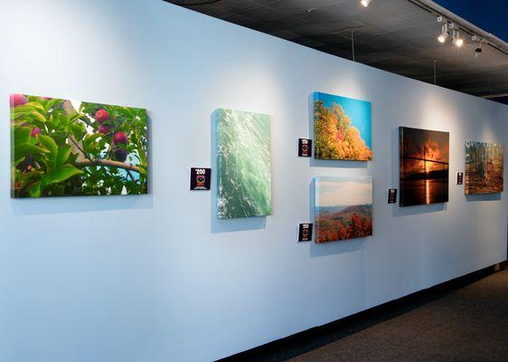 The Buffalo Big Print gallery is a relaxing place to see some great photographs, paintings, pottery, sculptures, & more!