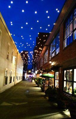 Love the sparkly nights on Post Alley!