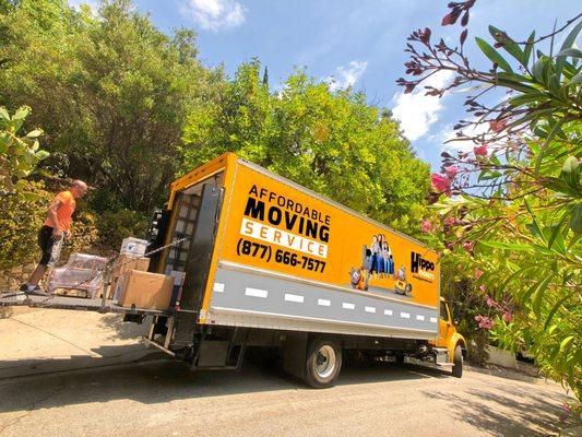 Hippo Movers - Moving Company