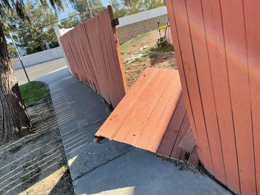 Damaged fence BEFORE