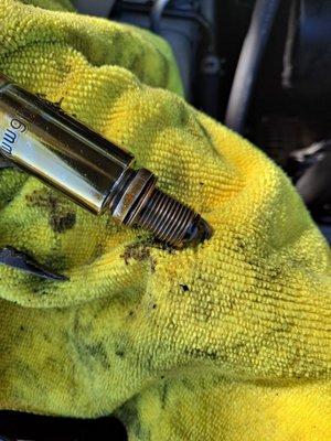 oil on spark plug