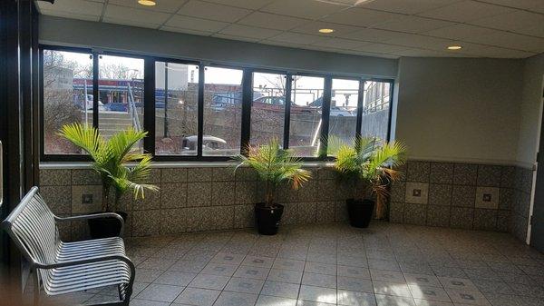 Beautiful foyer with palm trees