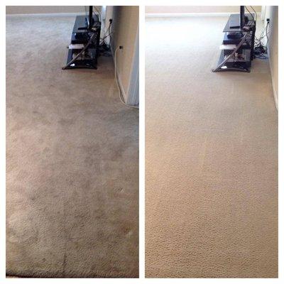 BEFORE AND AFTER NYLON CARPET