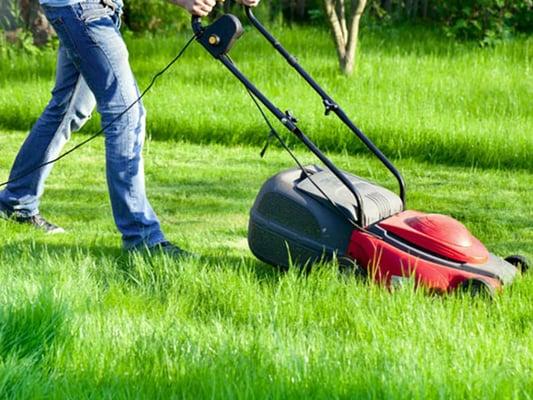 Lawn-care & Landscaping