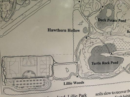 Map of Lillie Woods (South section).