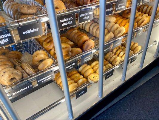 Fresh bagel display case at the counter of Seize the Bagel - Hazel Dell