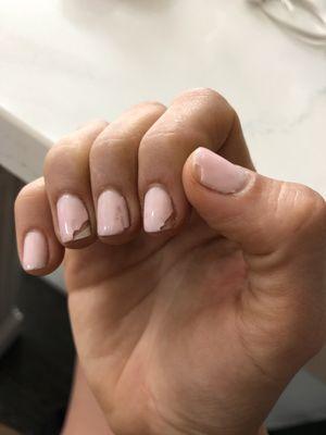 Gel manicure, only FOUR DAYS after treatment at Golden Touche