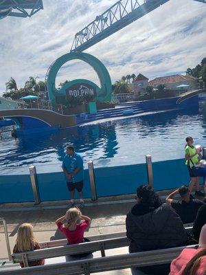 Dolphin show