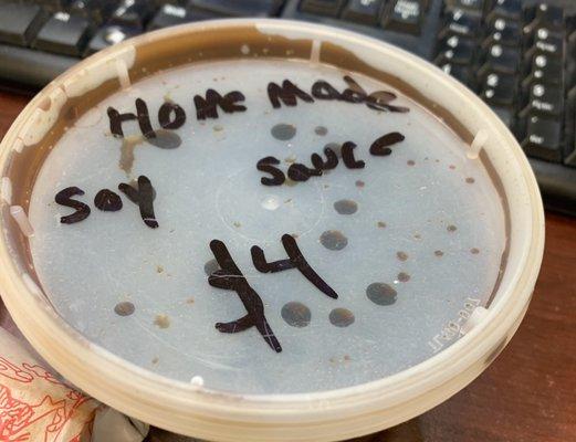 Large container of homemade soy sauce to bring home!