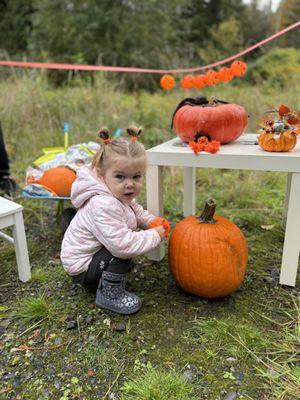 Pumpkin Hunt at our kirklandCampus