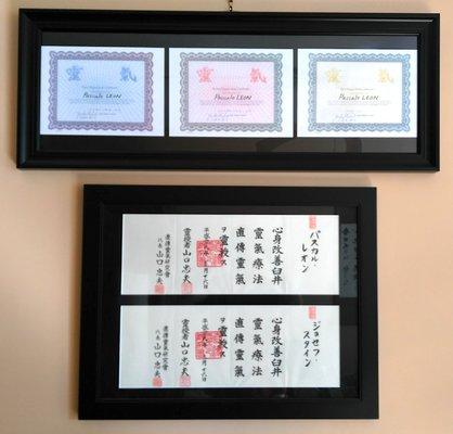 Pascale Leon's Japanese diplomas