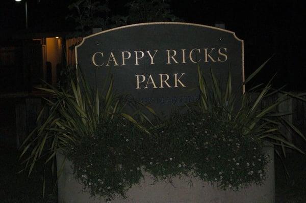 Cappy Ricks Park