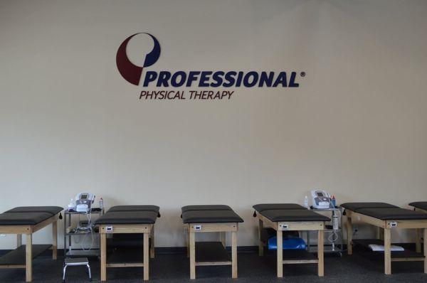 Professional Physical Therapy