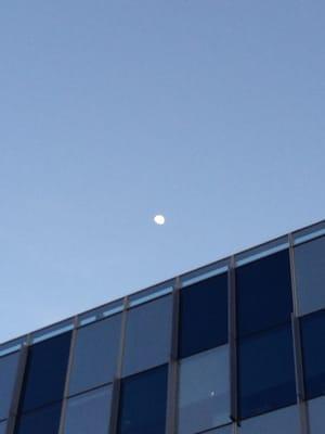 Moon over the MGM building.