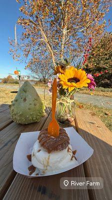 Cider donut ice cream sandwich