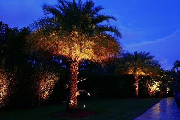 Garden lighting. House in Miramar  Landscape lighting; Up-lighting; Led lights.