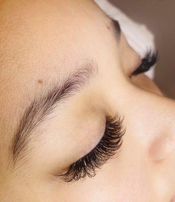 volume and wispy lash extensions