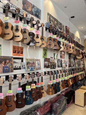 Wide variety of ukuleles