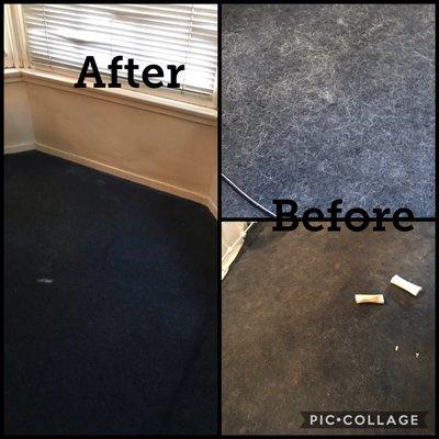 Carpet with dog hair all over it