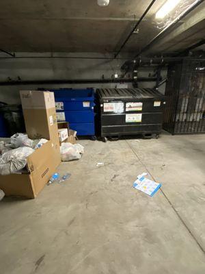 Garage and accumulated trash