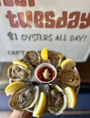 Happy hour $1 oyster every Tuesdays