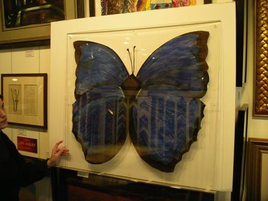 Acrylic sandwich frame allows this butterfly to suspend on the wall unemcumbered.