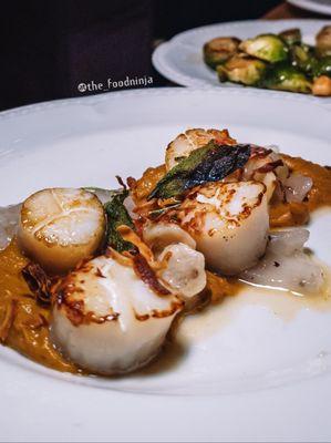 Seared Scallops