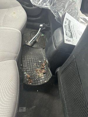 Glass all over back seat