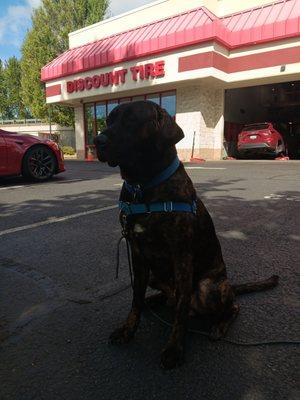 Bruce Wayne in front of the tire store. There's a field across the street to take him to while we wait.