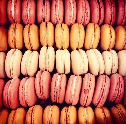 Fresh daily.. French Macaron!  These are a must!!