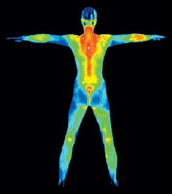 The Thermography Center