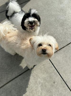 We both got groomed !