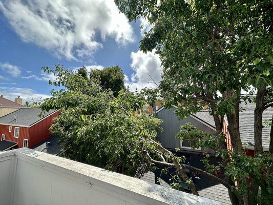 The tree limb that is going to snap off in the wind and kill someone.