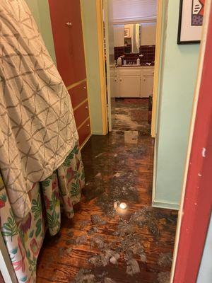 Sewage in hallway