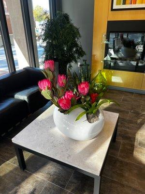 Interior office flowers Monthly delivery by Plantscape Designs Inc