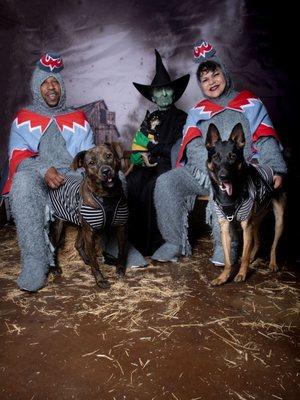 Ghouls for Drools. Saturday, October 12, 2024 Photo Opportunity with The #WickedWitch Professional #Pet Pics by Ale at Oaks #Photography