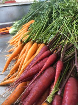 Fresh carrots