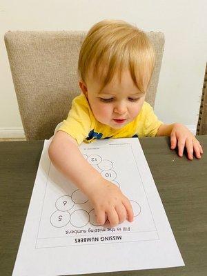 Learning numbers at 14 months