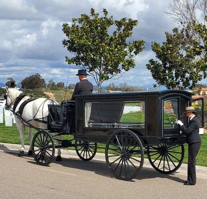 The horse carriage provided by another vendor for FREE on Mondays at Miramar National Cemetery.